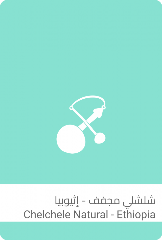 سلالات اثيوبيا شلشلي 250ج
