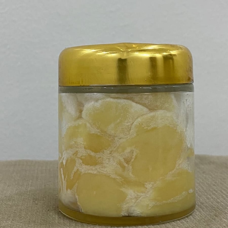 قطن مسقى