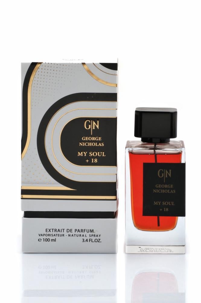 Giorgio Nicolas My Soul 100ml alternative perfume