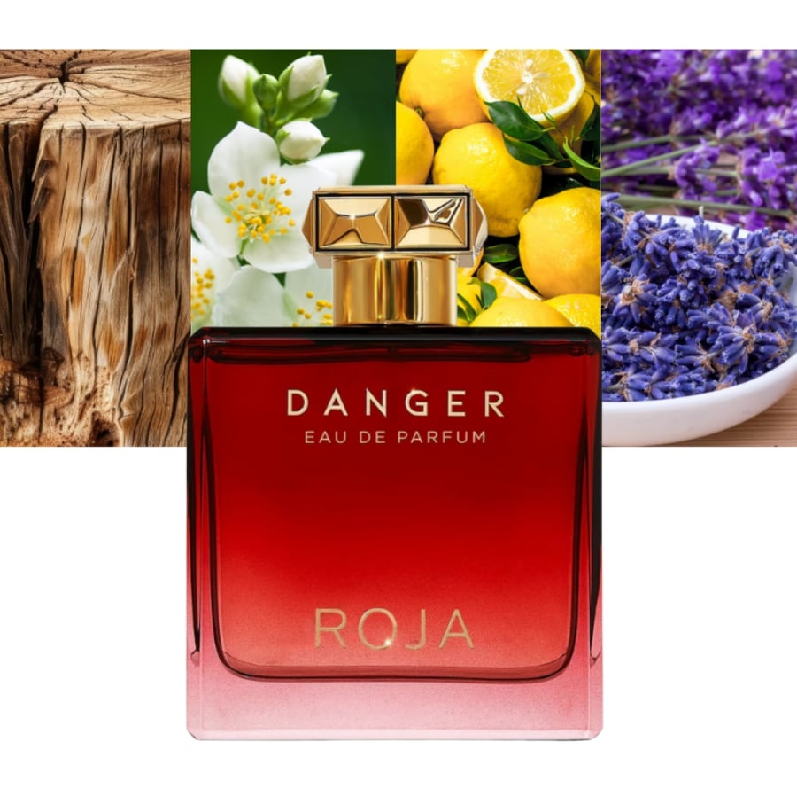 عطر روجا دانجر بور هوم أو دو بارفان 100 مل