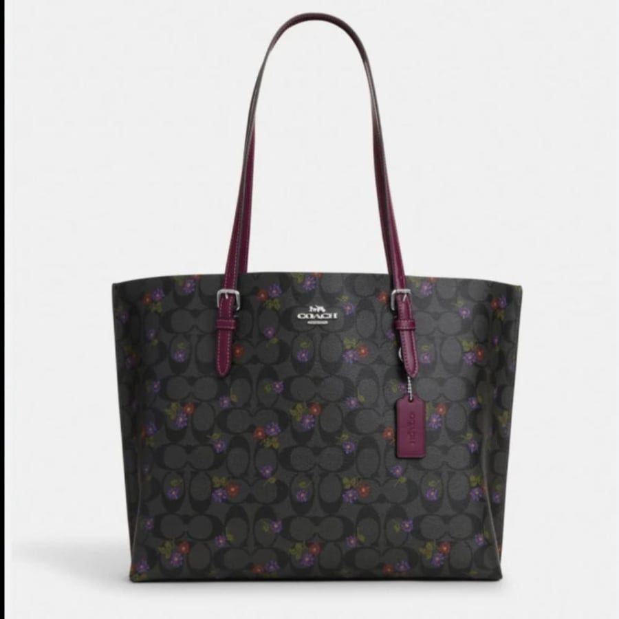 Coach Mollie Tote bag