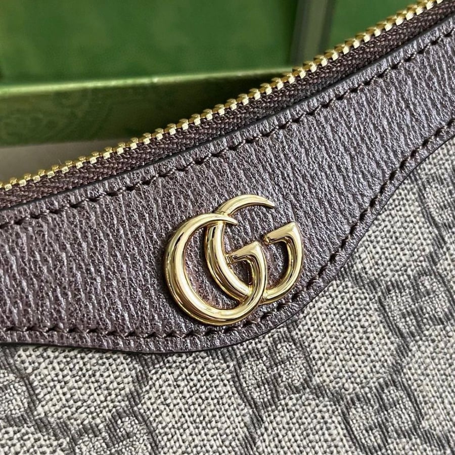 Gucci bag