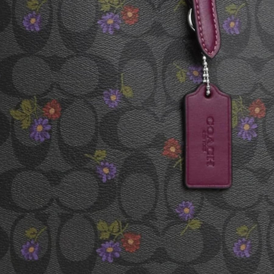 Coach Mollie Tote bag