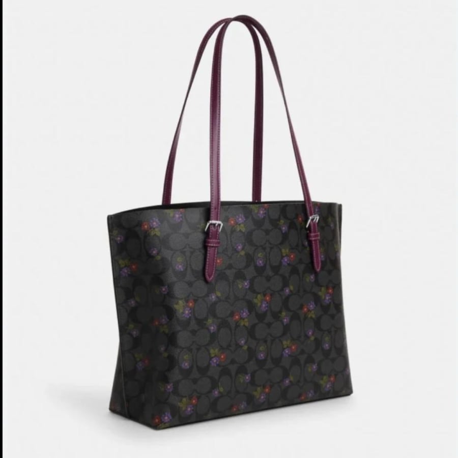 Coach Mollie Tote bag