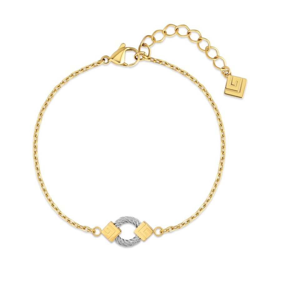 اسوارة جي لاروش