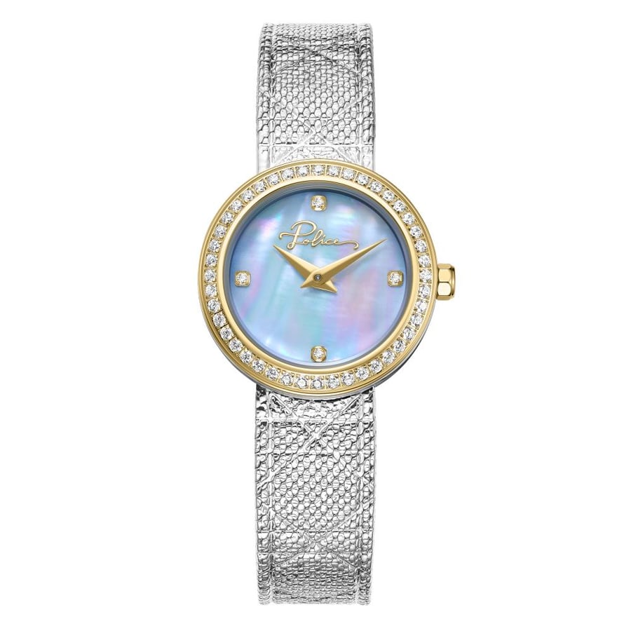 POLICE WATCH