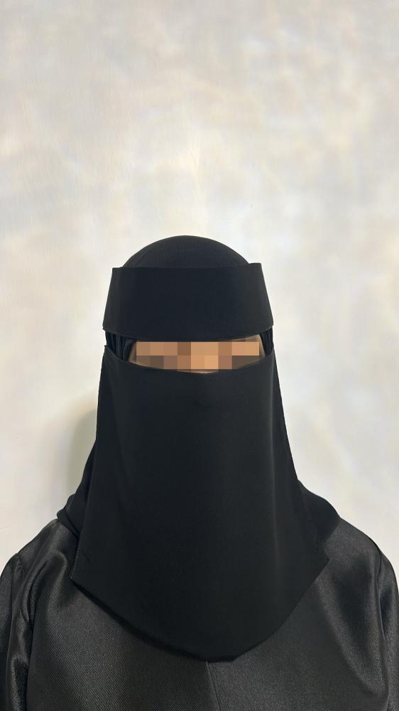 عرض الجملة1