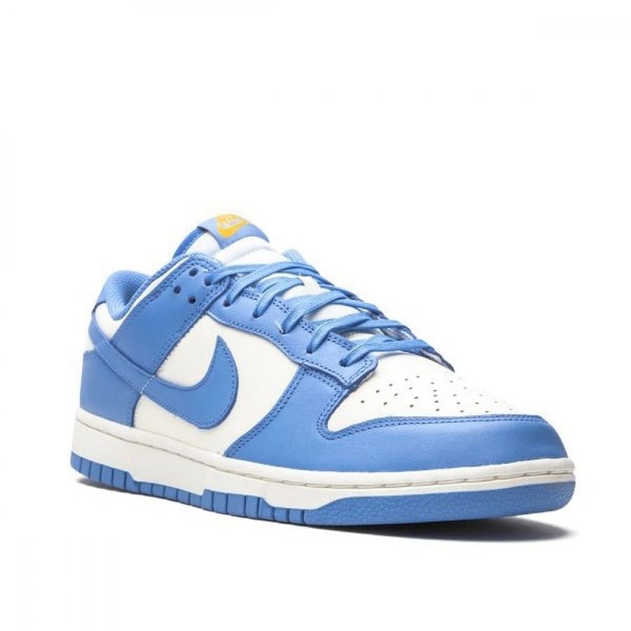 Nike Dunk Low 'Coast' sneakers