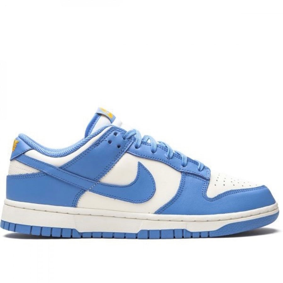 Nike Dunk Low 'Coast' sneakers