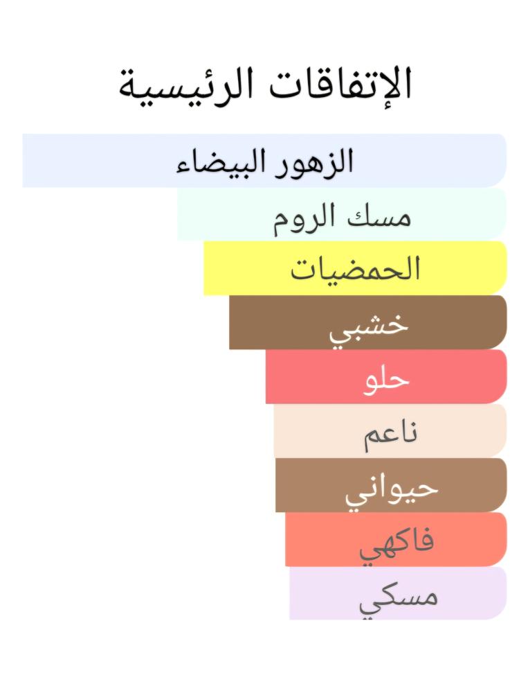 173 ليدي انتنس