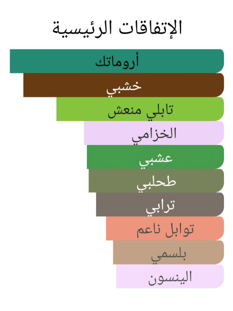 185 باشا