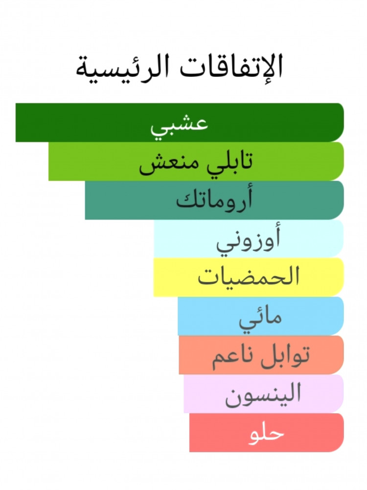 24 ايجي نيشاني