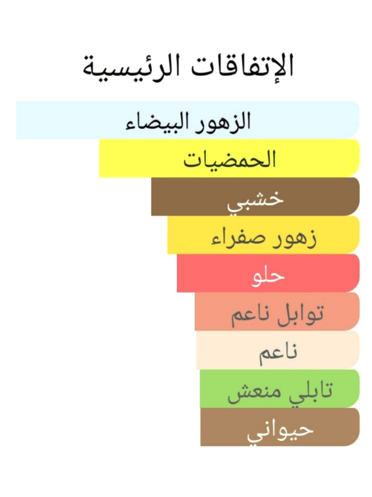 139 قوتشي بامبو