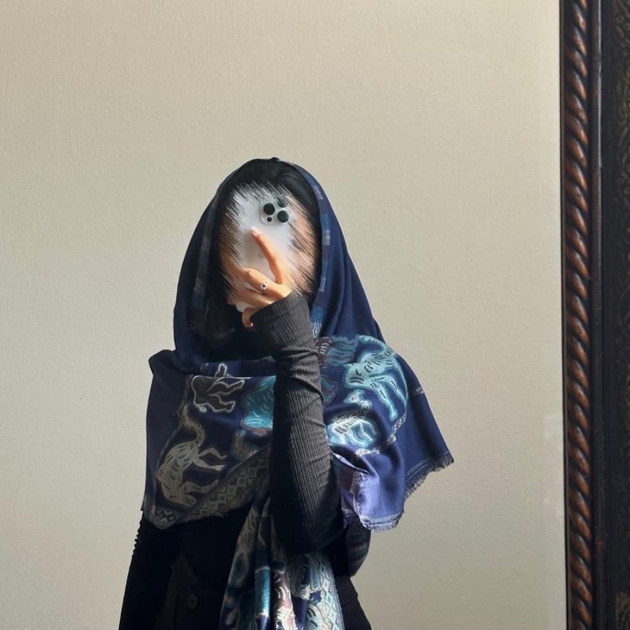 Kashmiri shawl camel 3