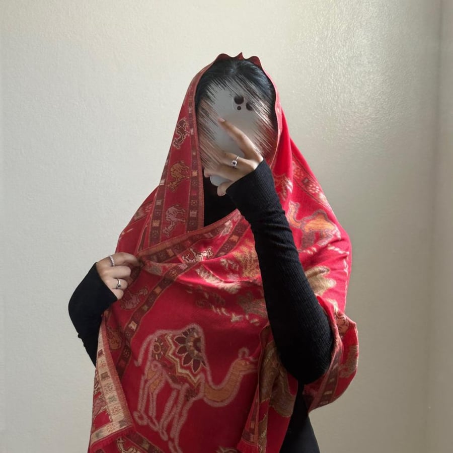 Kashmiri shawl camel 2