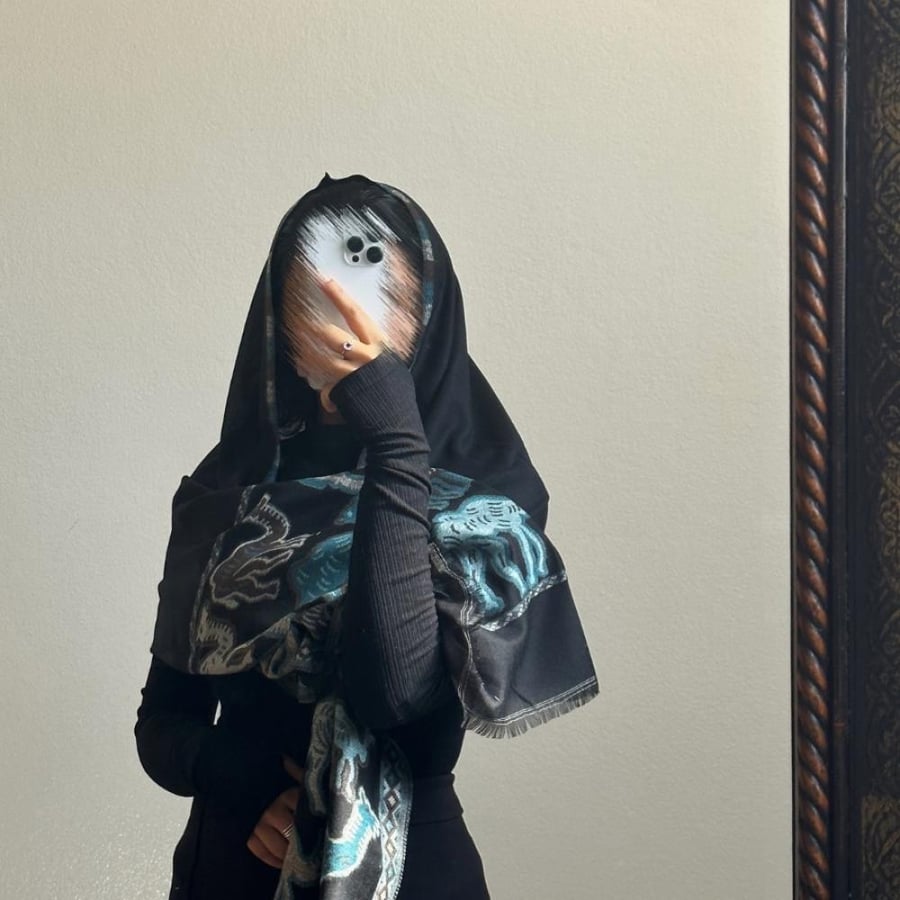 Kashmiri shawl camel 3