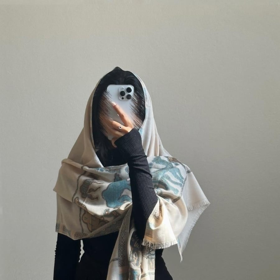 Kashmiri shawl camel 3