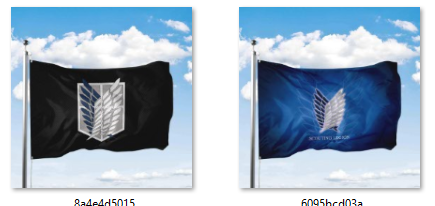 علم هجوم العمالقة - Attack On Titan Flag