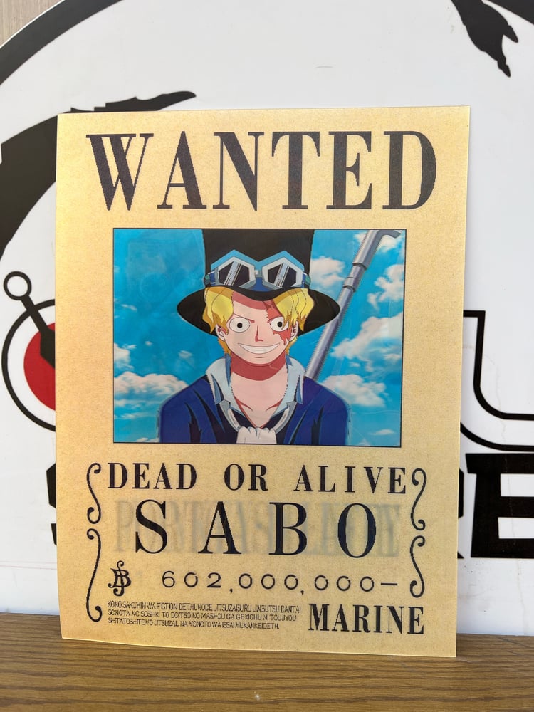 بوستر ون بيس ثلاثي الابعاد - One Piece 3D Poster