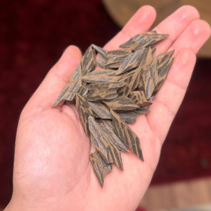 عود تايقر