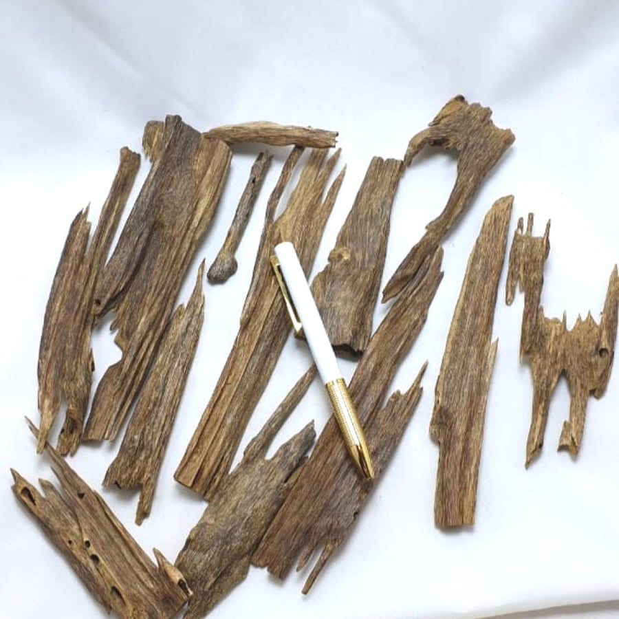 هندي آسام سوبر