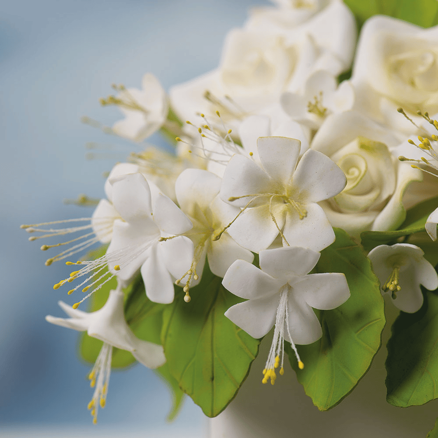 طقم أسدية  الأزهار ‏Decora