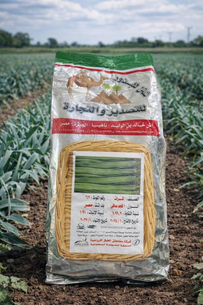 بذور كراث ابو جمل مصري 1كجم