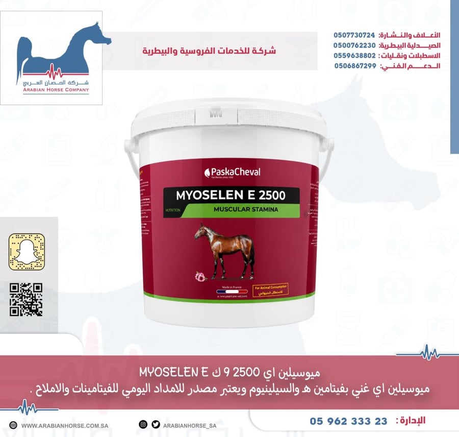 ميوسيلين اي 2500 9 ك MYOSELEN E