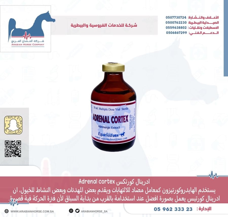 ادرينال كورتكس Adrenal cortex