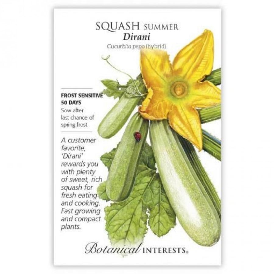 بذور كوسا ديراني الفاتحة - Dirani Summer Squash Seeds