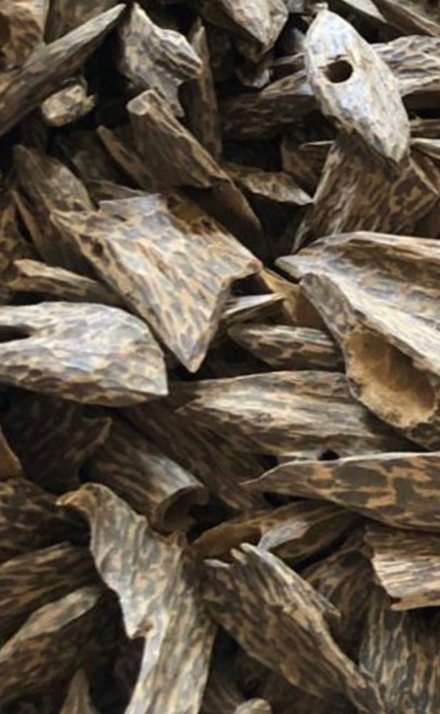 Cambodian cultivated improved very luxurious and heavy/ounce