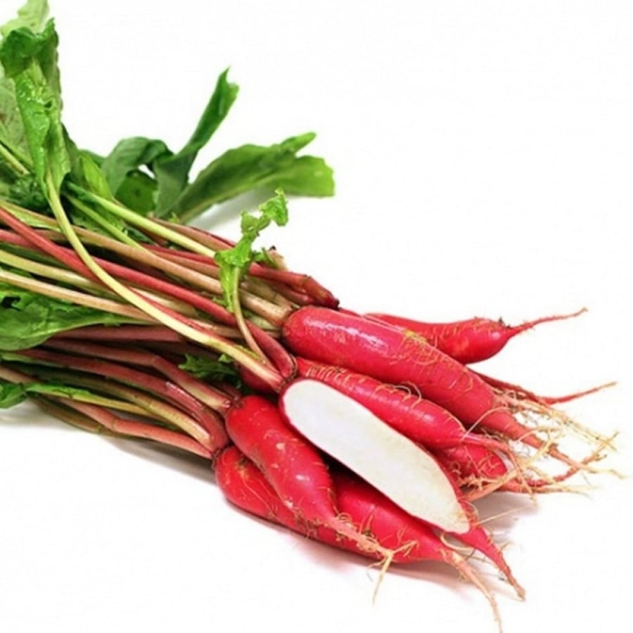 بذور فجل طويل (شمعة النار)