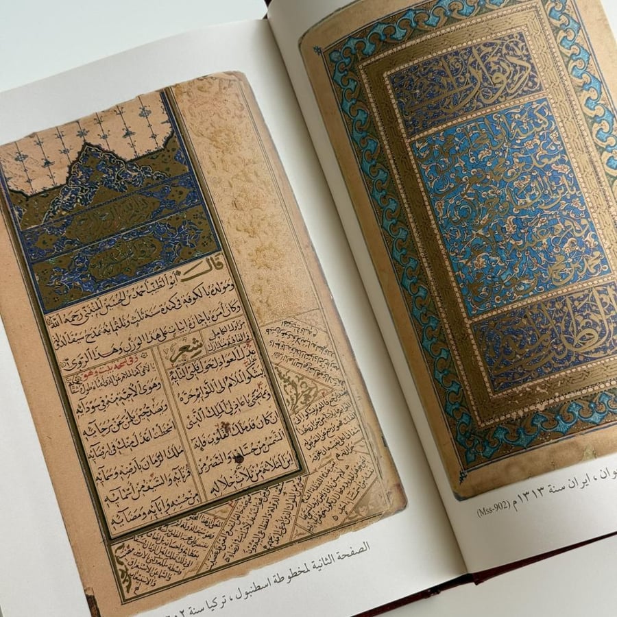 ديوان المتنبي