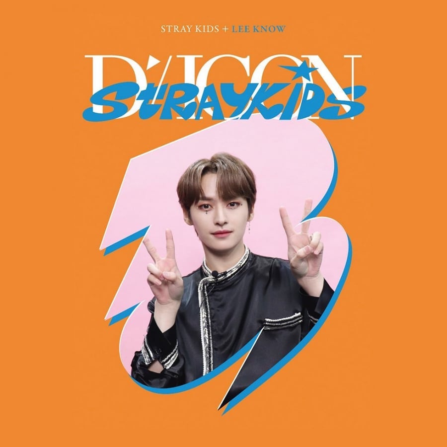 Dicon D'Festa - for Stray Kids