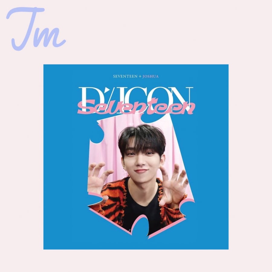 Dicon D'Festa - for the band Seventeen