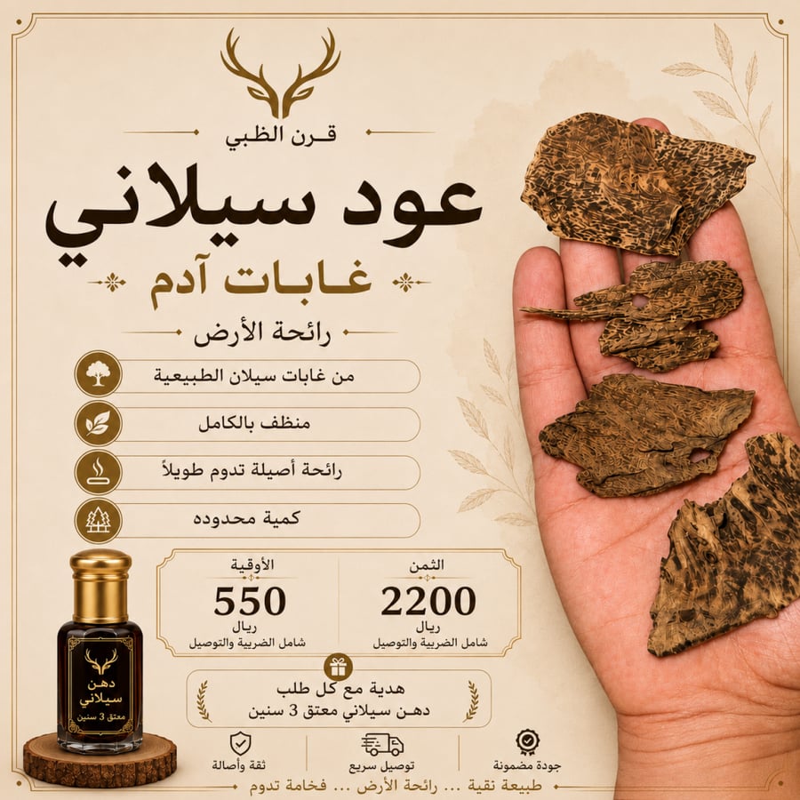 سيلاني غابة ادم طبيعي