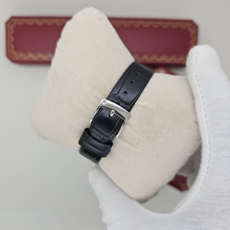The distinguished Piaget watch