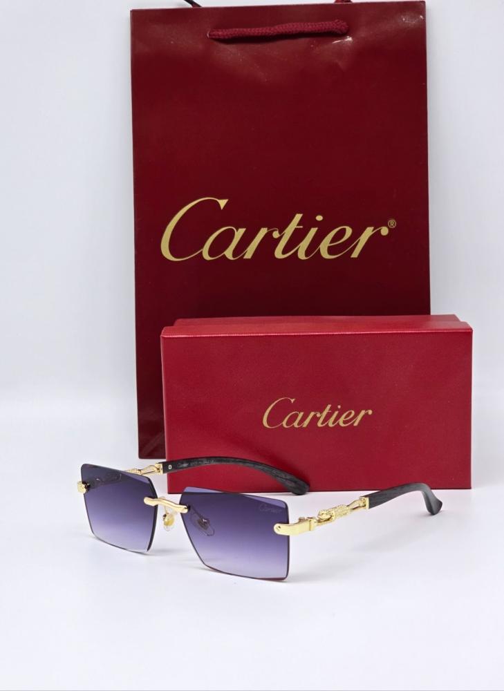 Cartier men's glasses