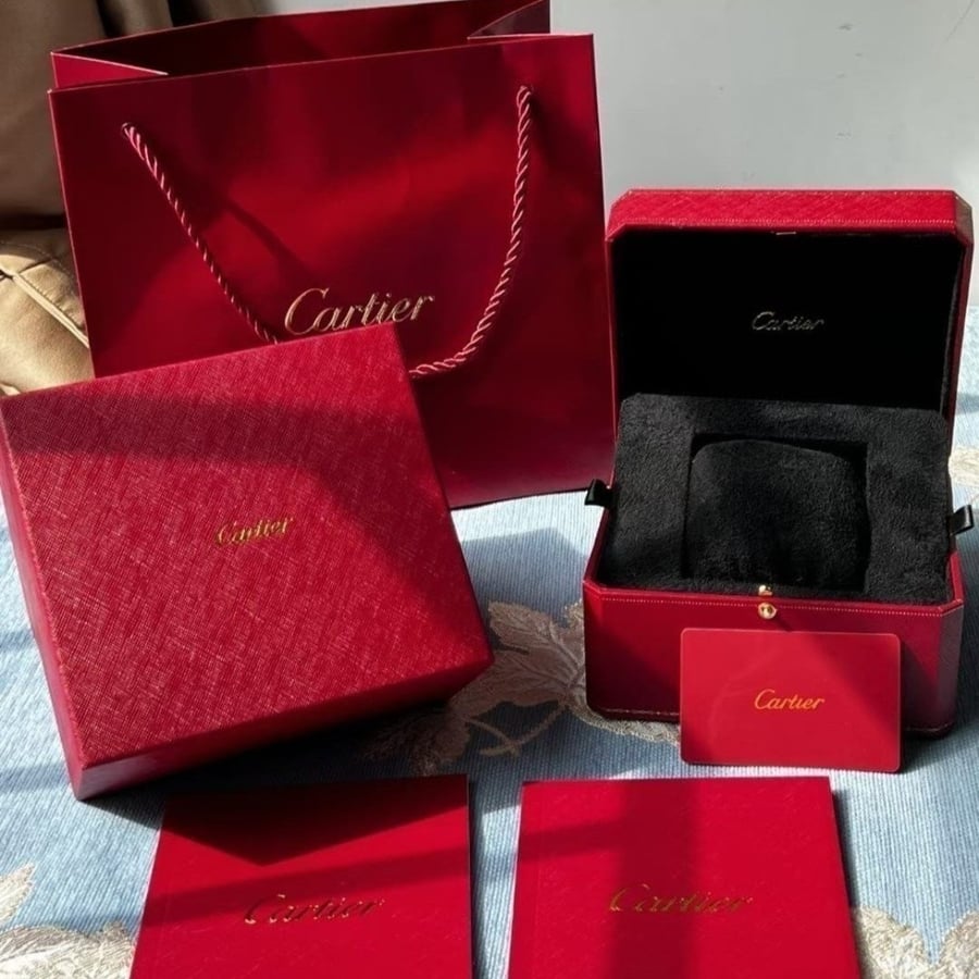 ساعة كارتير سانتوس دومو