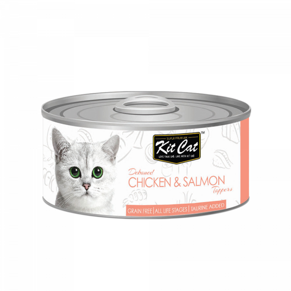 الطعام الرطب للقطط من كت كات kit cat