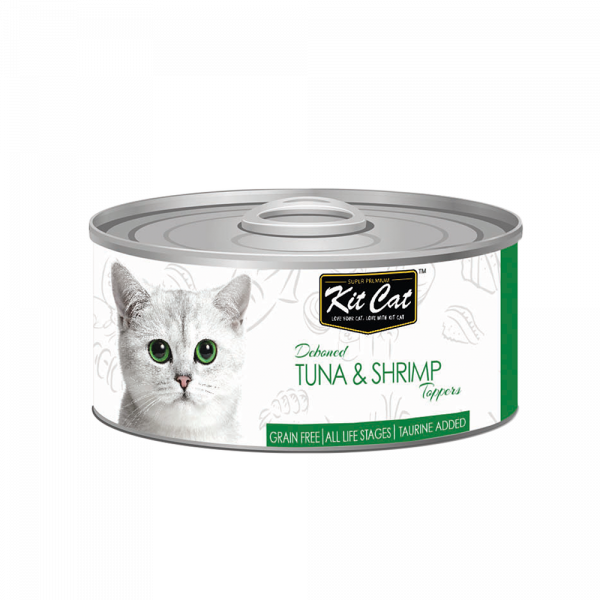 الطعام الرطب للقطط من كت كات kit cat