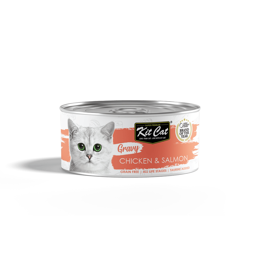 الطعام الرطب للقطط من كت كات kit cat