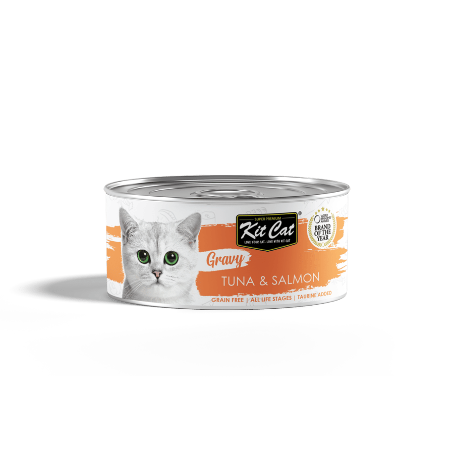 الطعام الرطب للقطط من كت كات kit cat