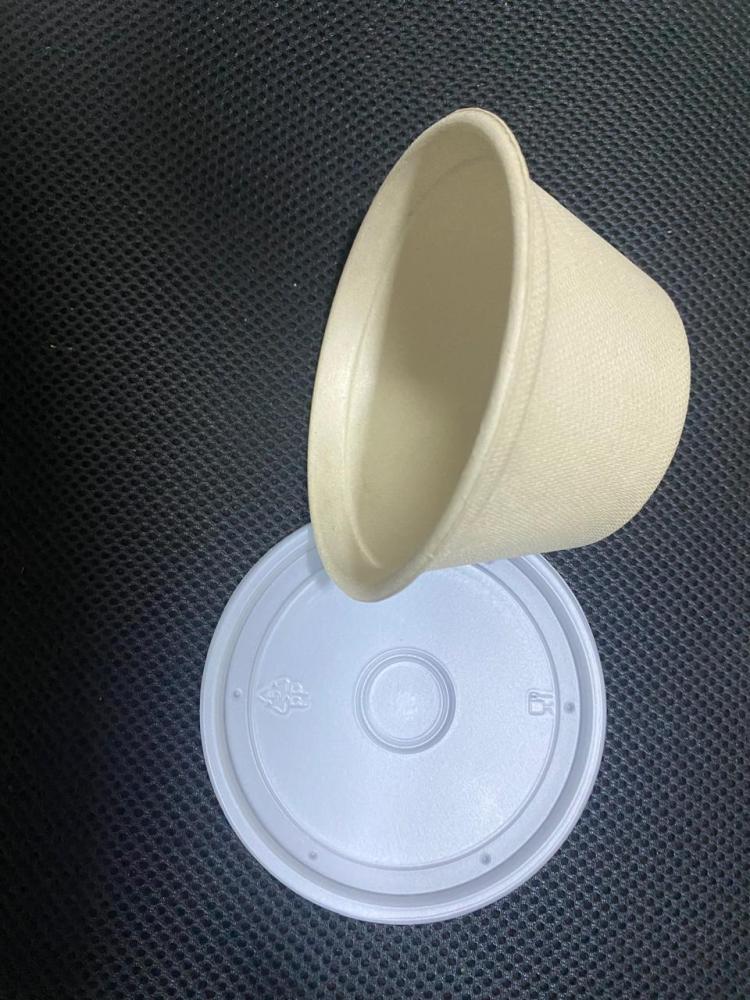 Sugarcane bowl 12 ounces with PP lid, 1000 pieces in carton