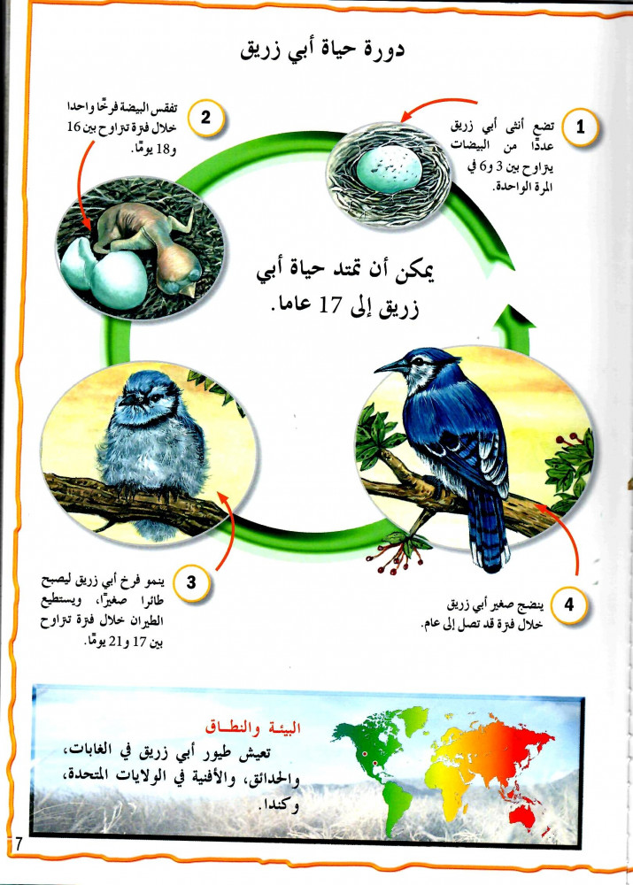 موسوعة الحيوانات - الطيور