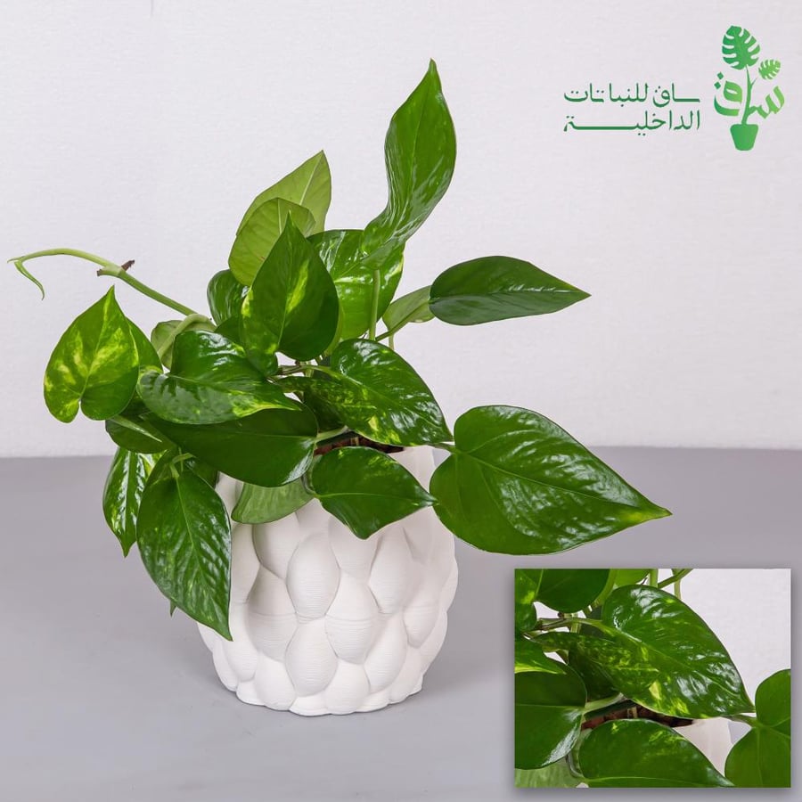 بوتس مجهزة بمركن بتصميم انيق وكرات اللكا