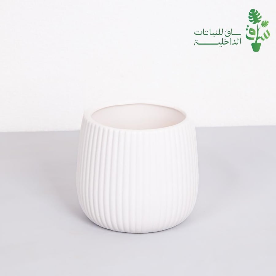 مركن بخطوط طولية