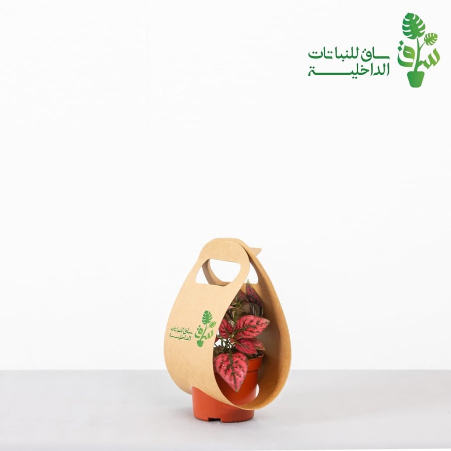 توزيعات 12 حبة