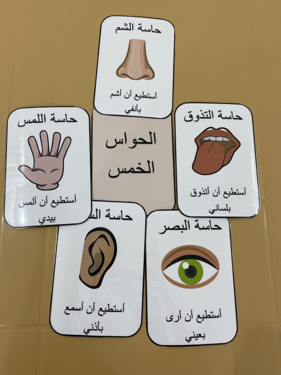 بطاقات الحواس الخمس ( عربي )