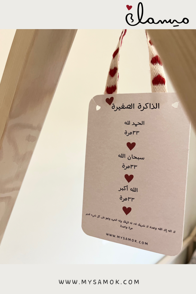 الذاكرة الصغيرة